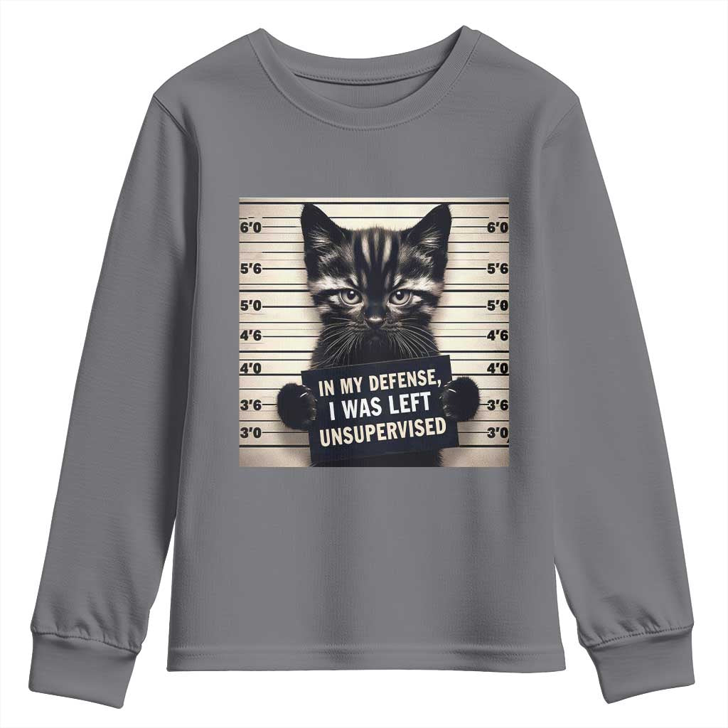 Funny Bad Cat Attitude Youth Sweatshirt In My Defense I Was Left Unsupervised