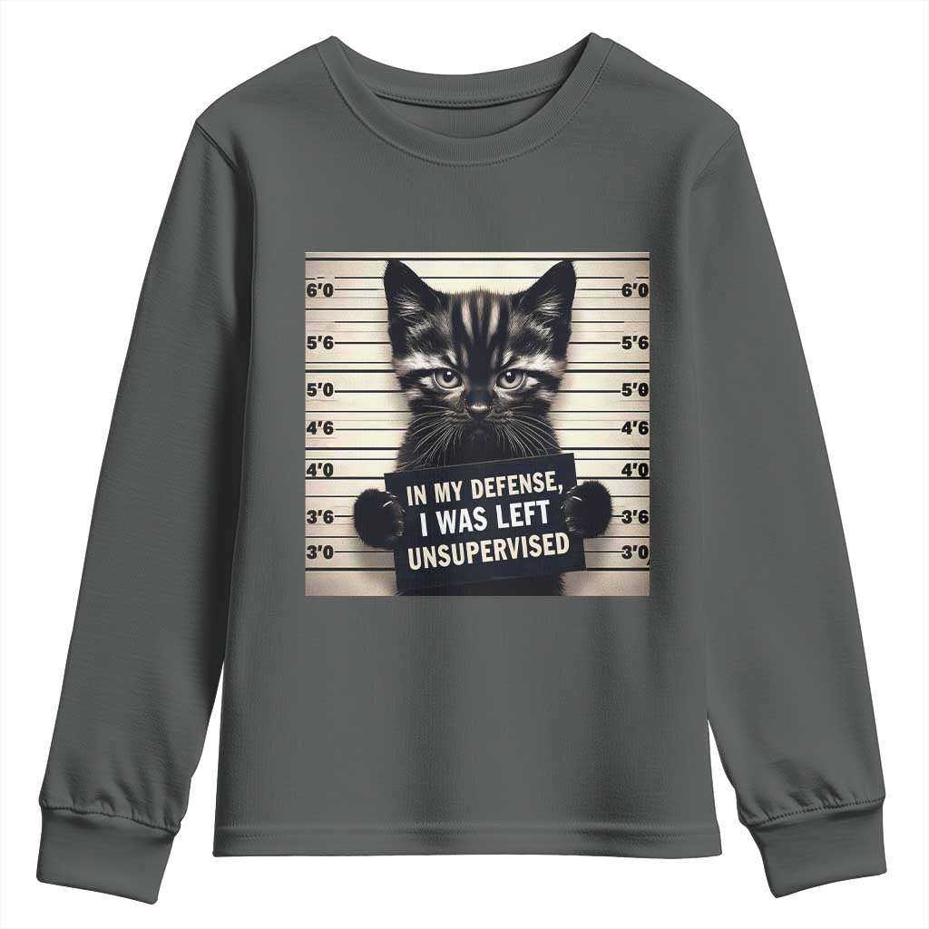 Funny Bad Cat Attitude Youth Sweatshirt In My Defense I Was Left Unsupervised