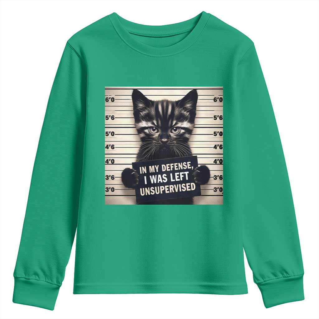 Funny Bad Cat Attitude Youth Sweatshirt In My Defense I Was Left Unsupervised