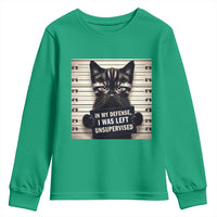 Funny Bad Cat Attitude Youth Sweatshirt In My Defense I Was Left Unsupervised