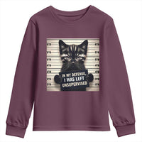 Funny Bad Cat Attitude Youth Sweatshirt In My Defense I Was Left Unsupervised