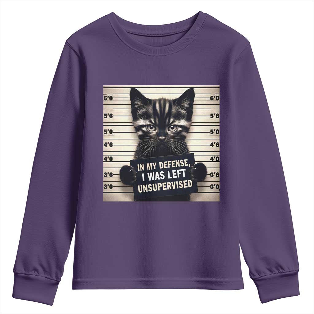 Funny Bad Cat Attitude Youth Sweatshirt In My Defense I Was Left Unsupervised
