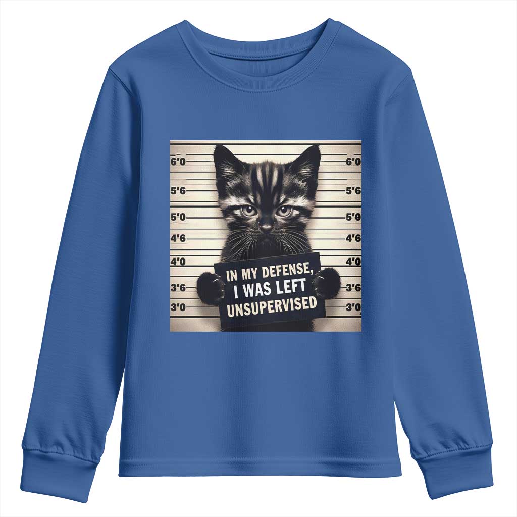 Funny Bad Cat Attitude Youth Sweatshirt In My Defense I Was Left Unsupervised