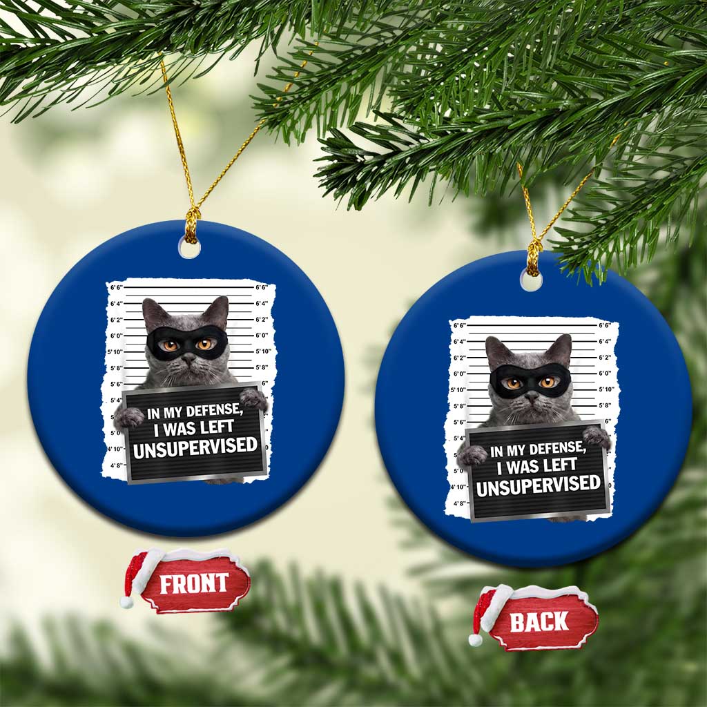 Funny Cat Mugshot Ceramic Ornament In My Defense I Was Left Unsupervised