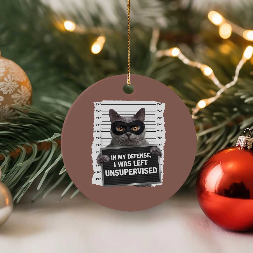 Funny Cat Mugshot Ceramic Ornament In My Defense I Was Left Unsupervised
