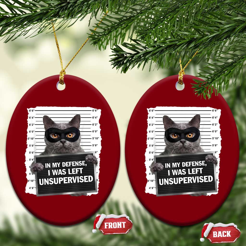 Funny Cat Mugshot Ceramic Ornament In My Defense I Was Left Unsupervised