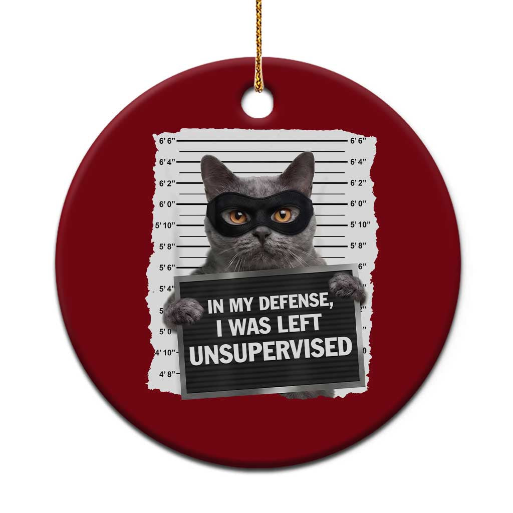 Funny Cat Mugshot Ceramic Ornament In My Defense I Was Left Unsupervised