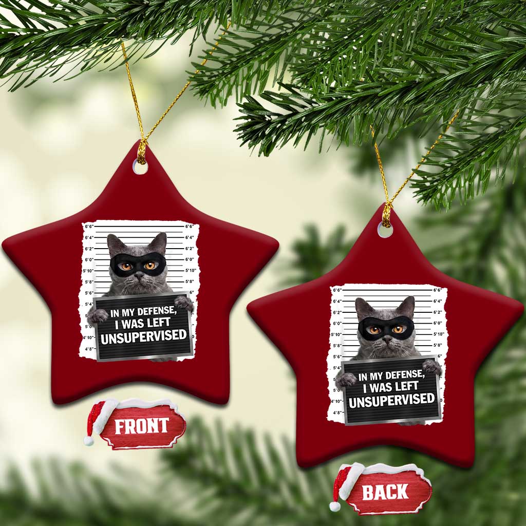 Funny Cat Mugshot Ceramic Ornament In My Defense I Was Left Unsupervised