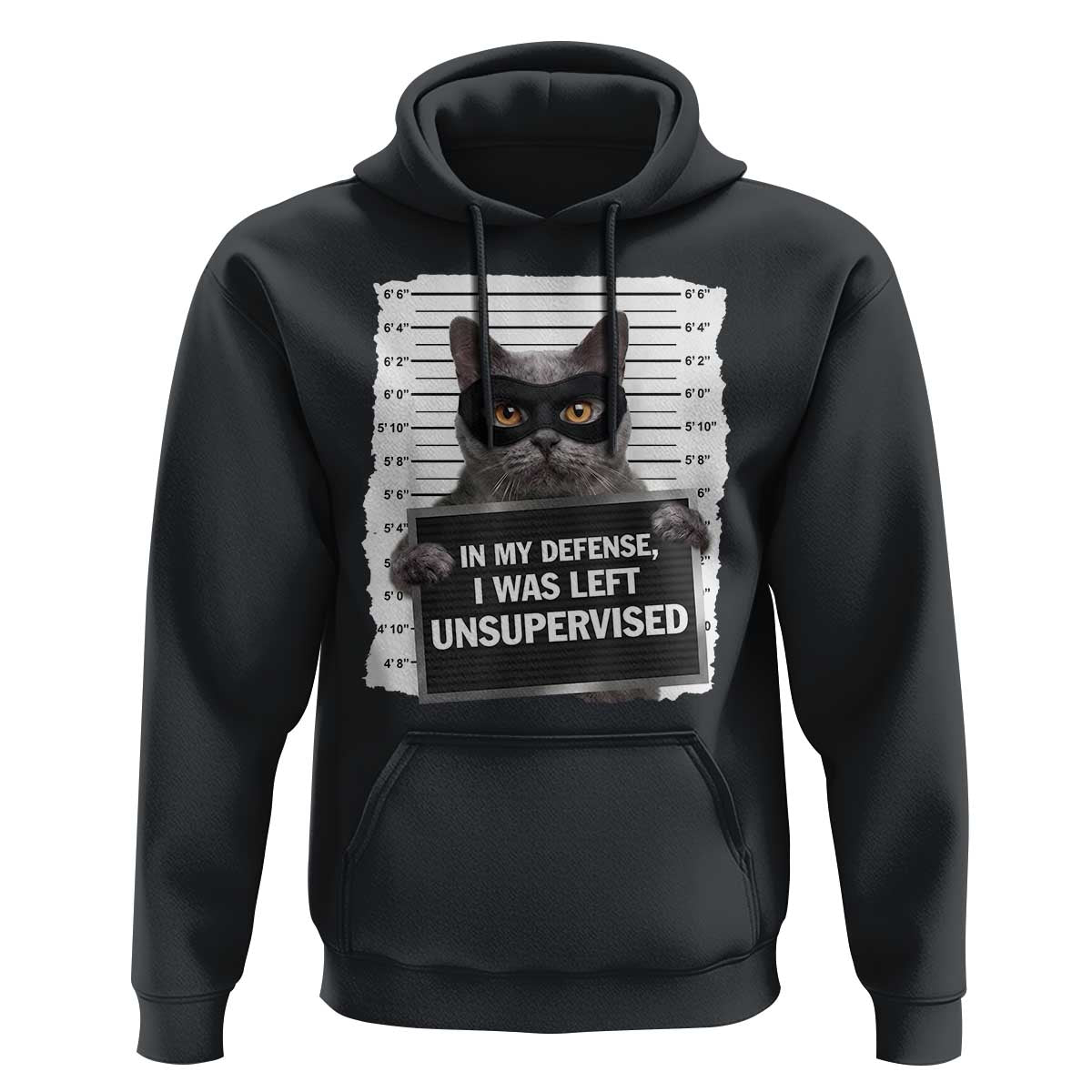 Funny Cat Mugshot Hoodie In My Defense I Was Left Unsupervised