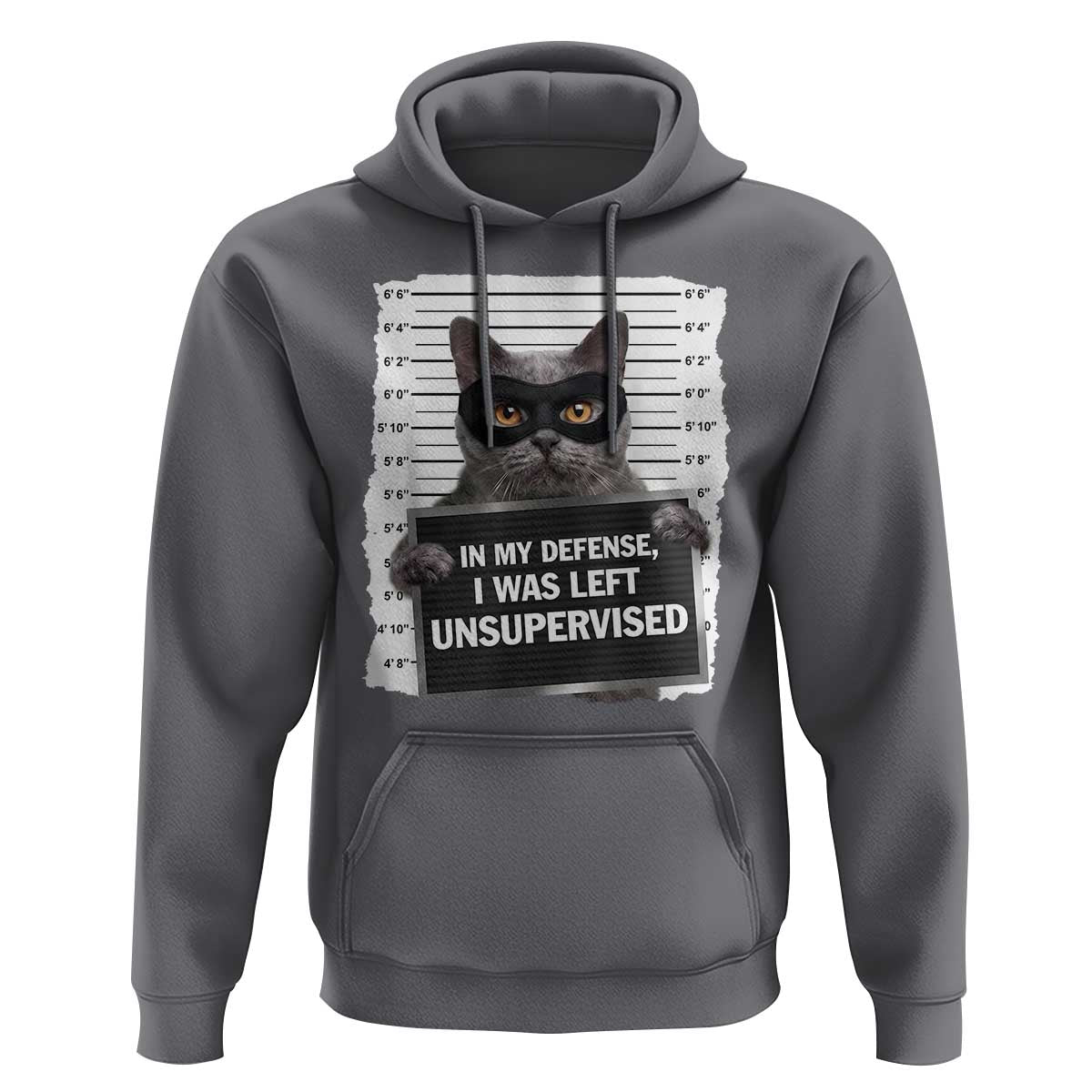 Funny Cat Mugshot Hoodie In My Defense I Was Left Unsupervised