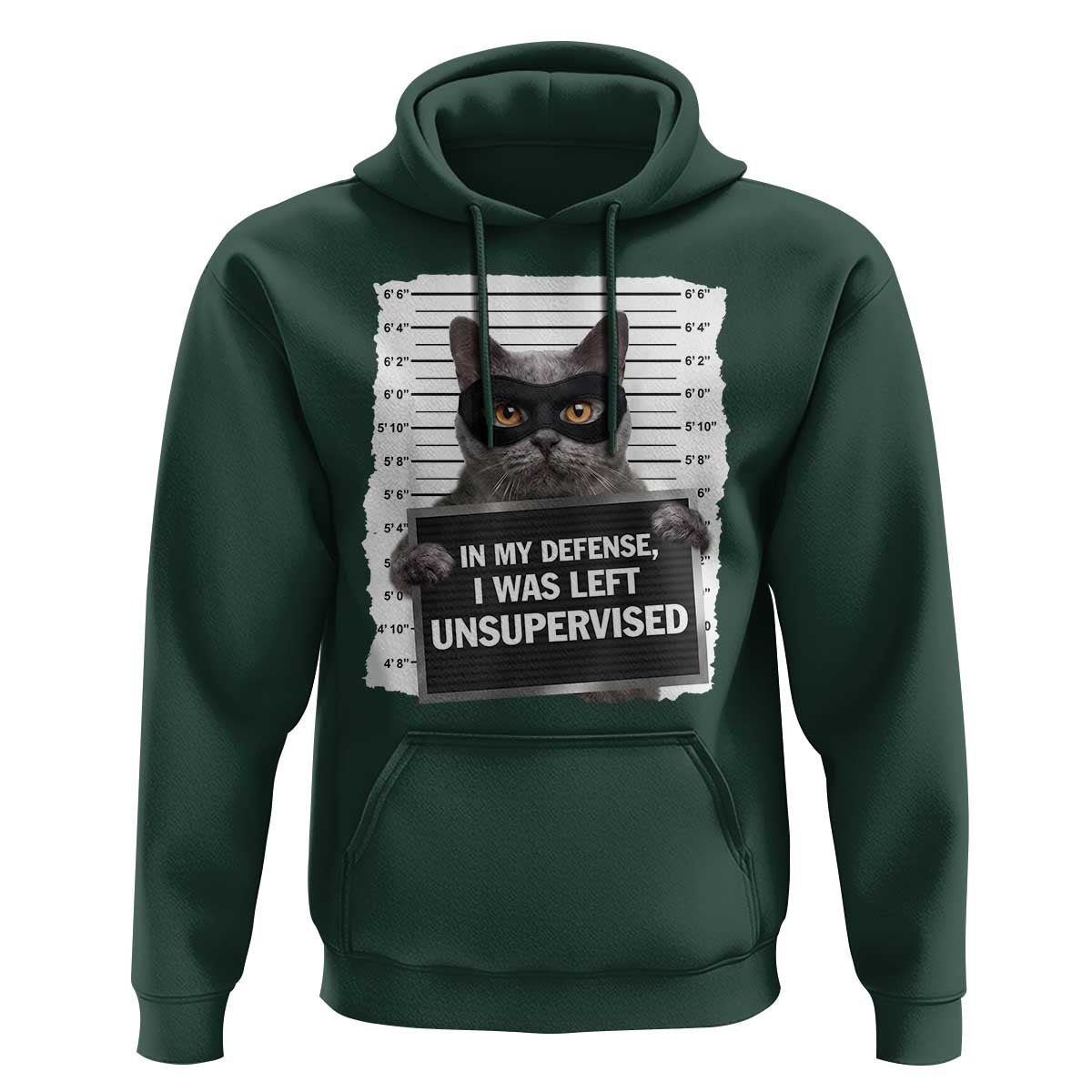 Funny Cat Mugshot Hoodie In My Defense I Was Left Unsupervised