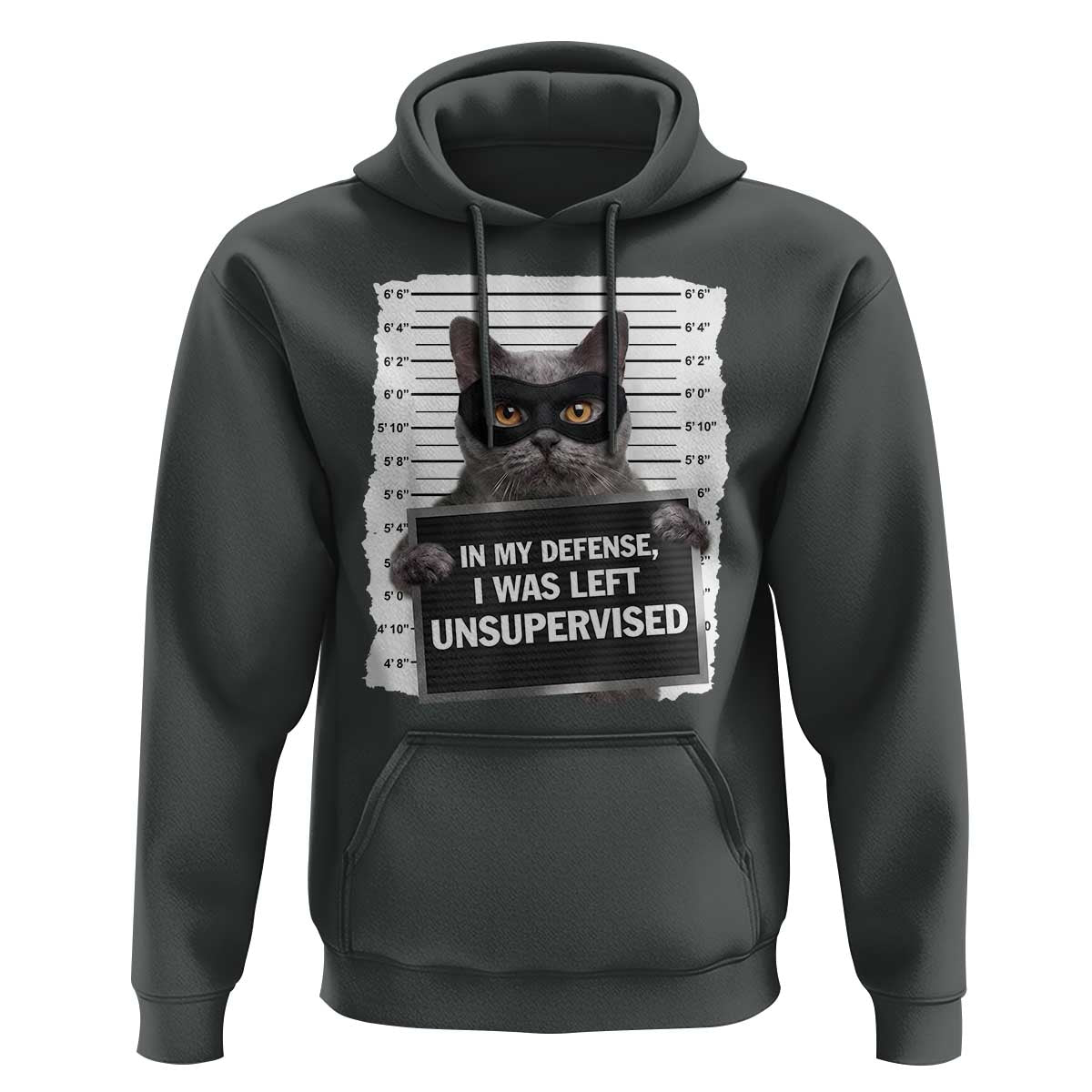 Funny Cat Mugshot Hoodie In My Defense I Was Left Unsupervised