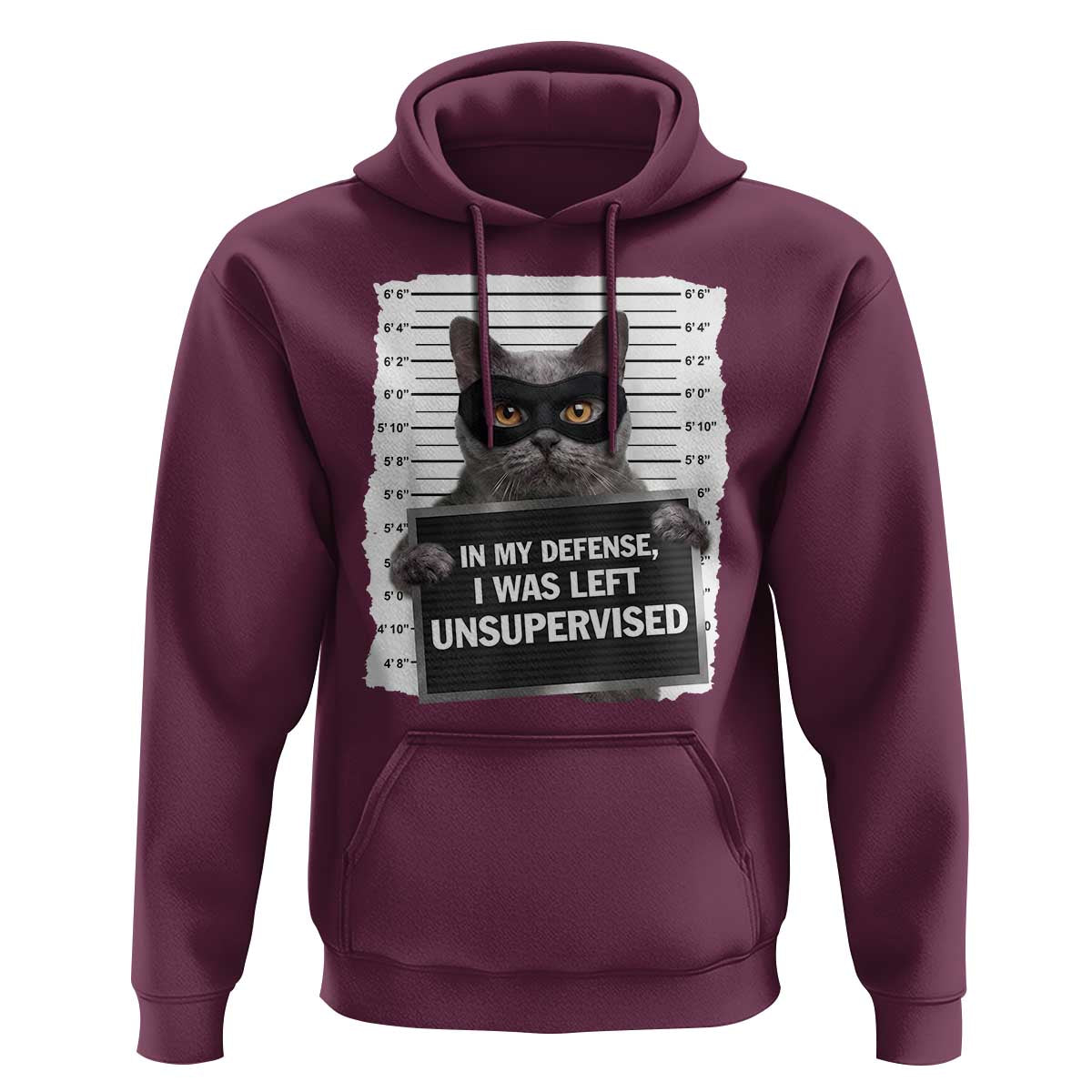 Funny Cat Mugshot Hoodie In My Defense I Was Left Unsupervised