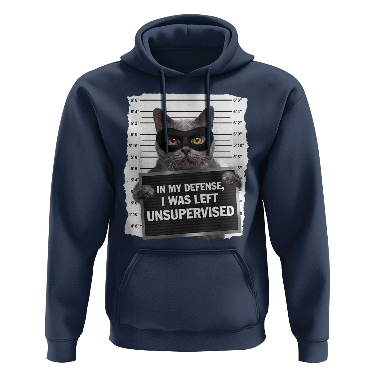 Funny Cat Mugshot Hoodie In My Defense I Was Left Unsupervised