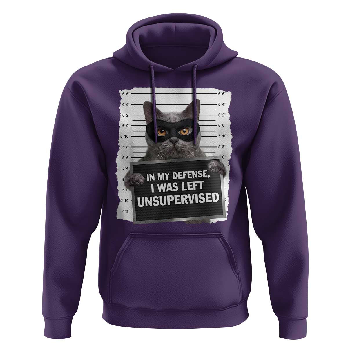 Funny Cat Mugshot Hoodie In My Defense I Was Left Unsupervised