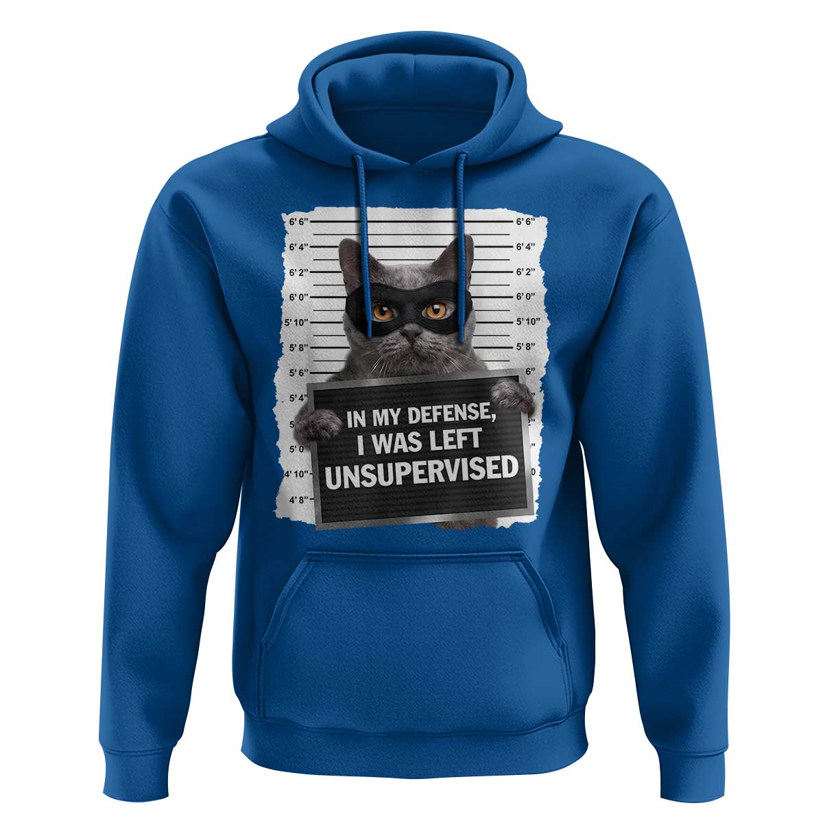 Funny Cat Mugshot Hoodie In My Defense I Was Left Unsupervised