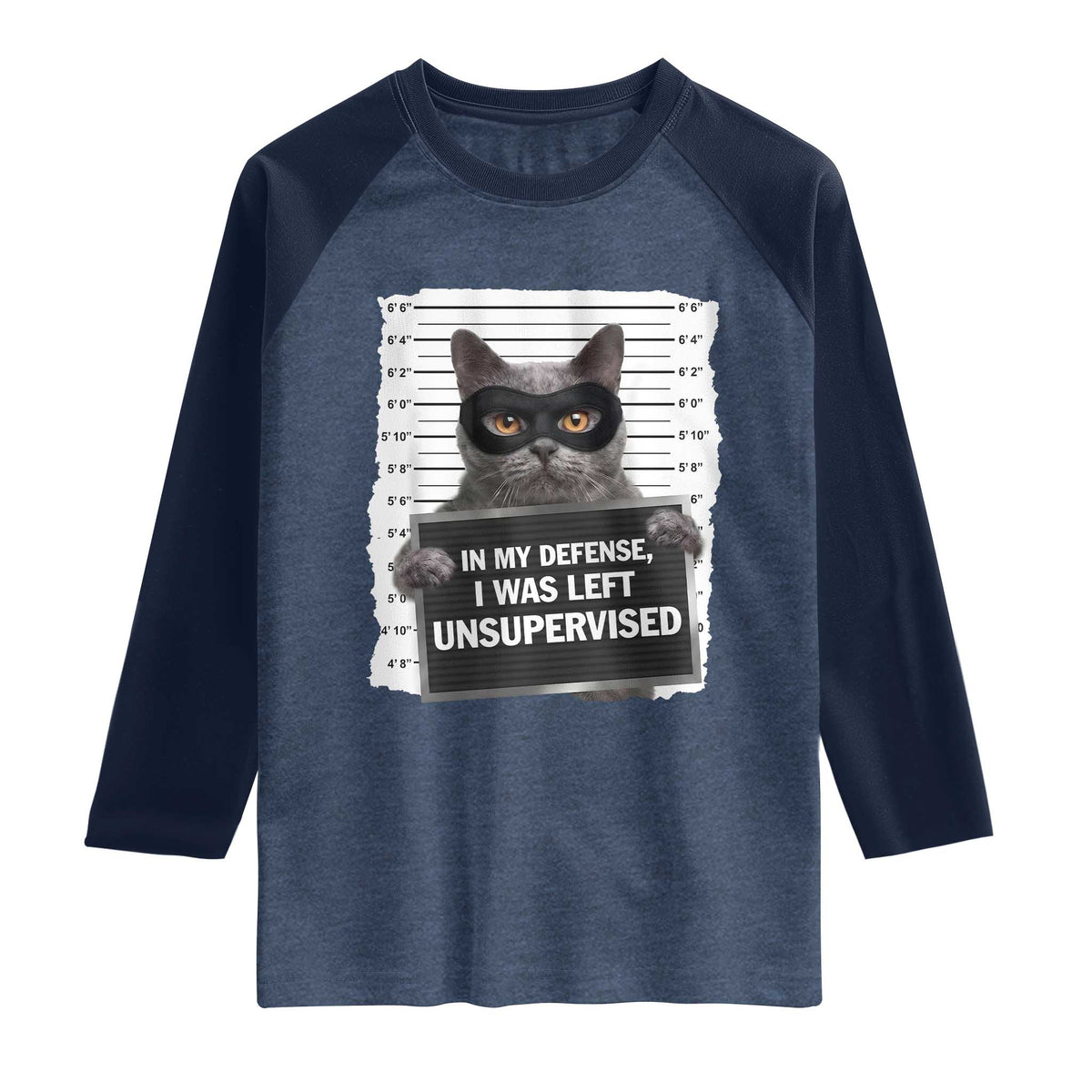 Funny Cat Mugshot Raglan Shirt In My Defense I Was Left Unsupervised