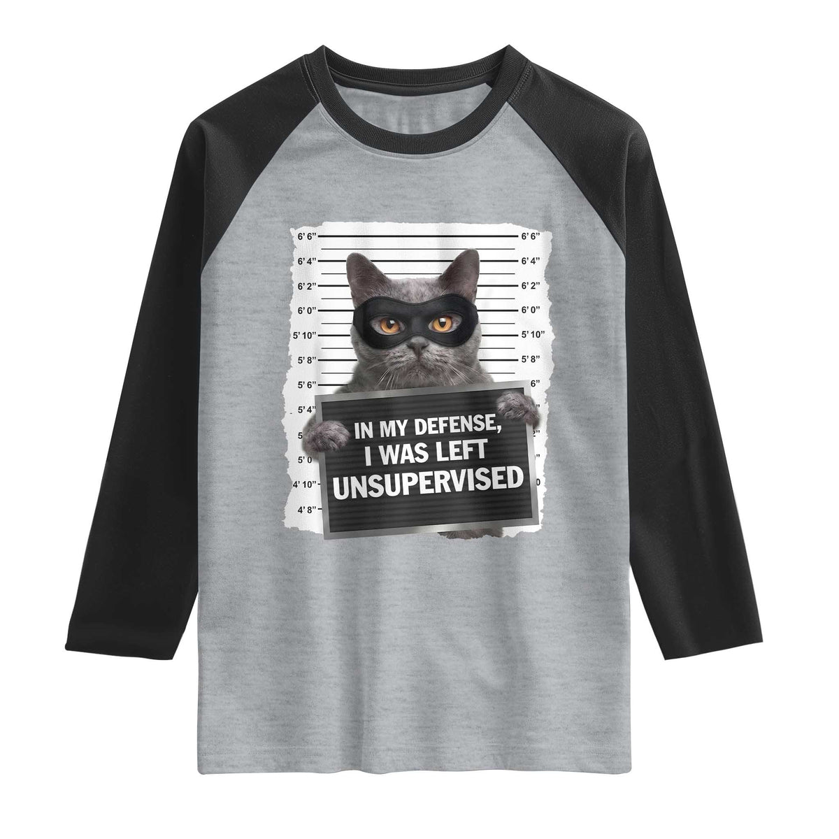 Funny Cat Mugshot Raglan Shirt In My Defense I Was Left Unsupervised