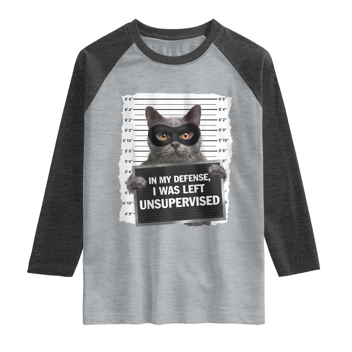 Funny Cat Mugshot Raglan Shirt In My Defense I Was Left Unsupervised