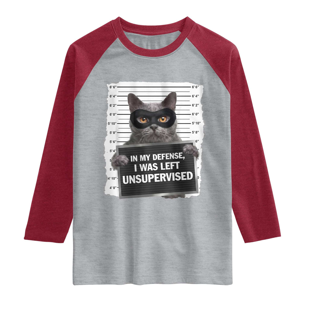 Funny Cat Mugshot Raglan Shirt In My Defense I Was Left Unsupervised