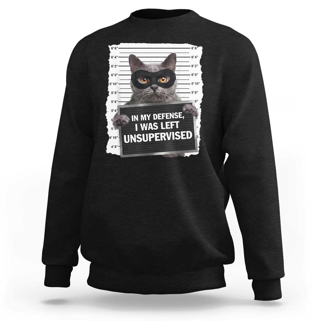 Funny Cat Mugshot Sweatshirt In My Defense I Was Left Unsupervised