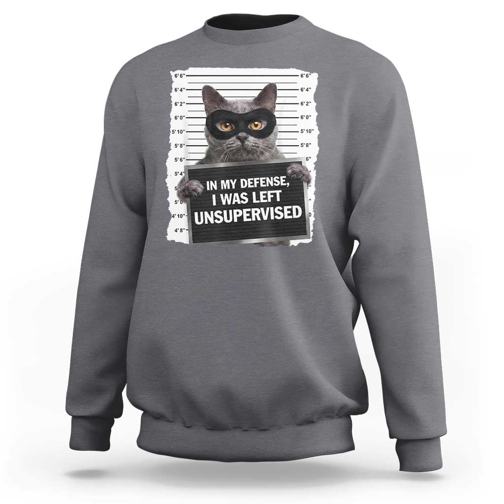 Funny Cat Mugshot Sweatshirt In My Defense I Was Left Unsupervised
