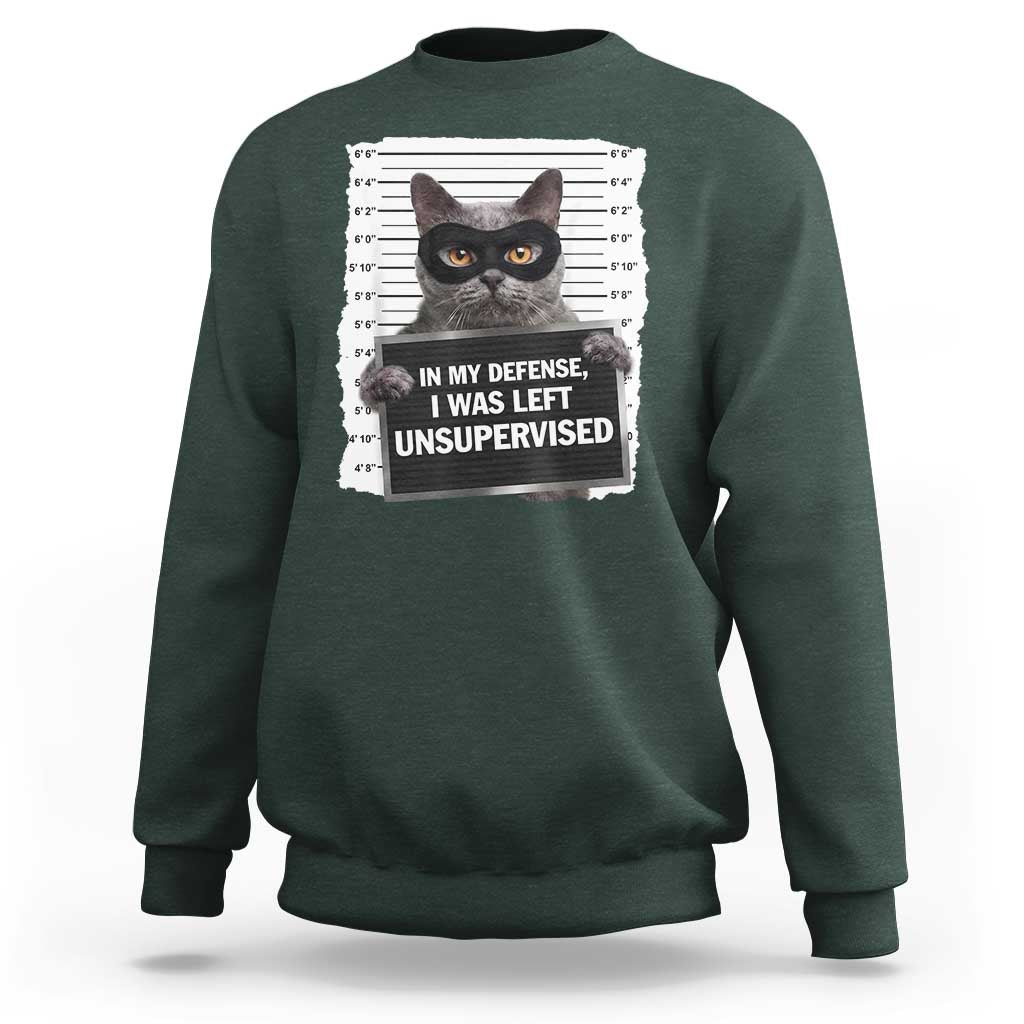 Funny Cat Mugshot Sweatshirt In My Defense I Was Left Unsupervised