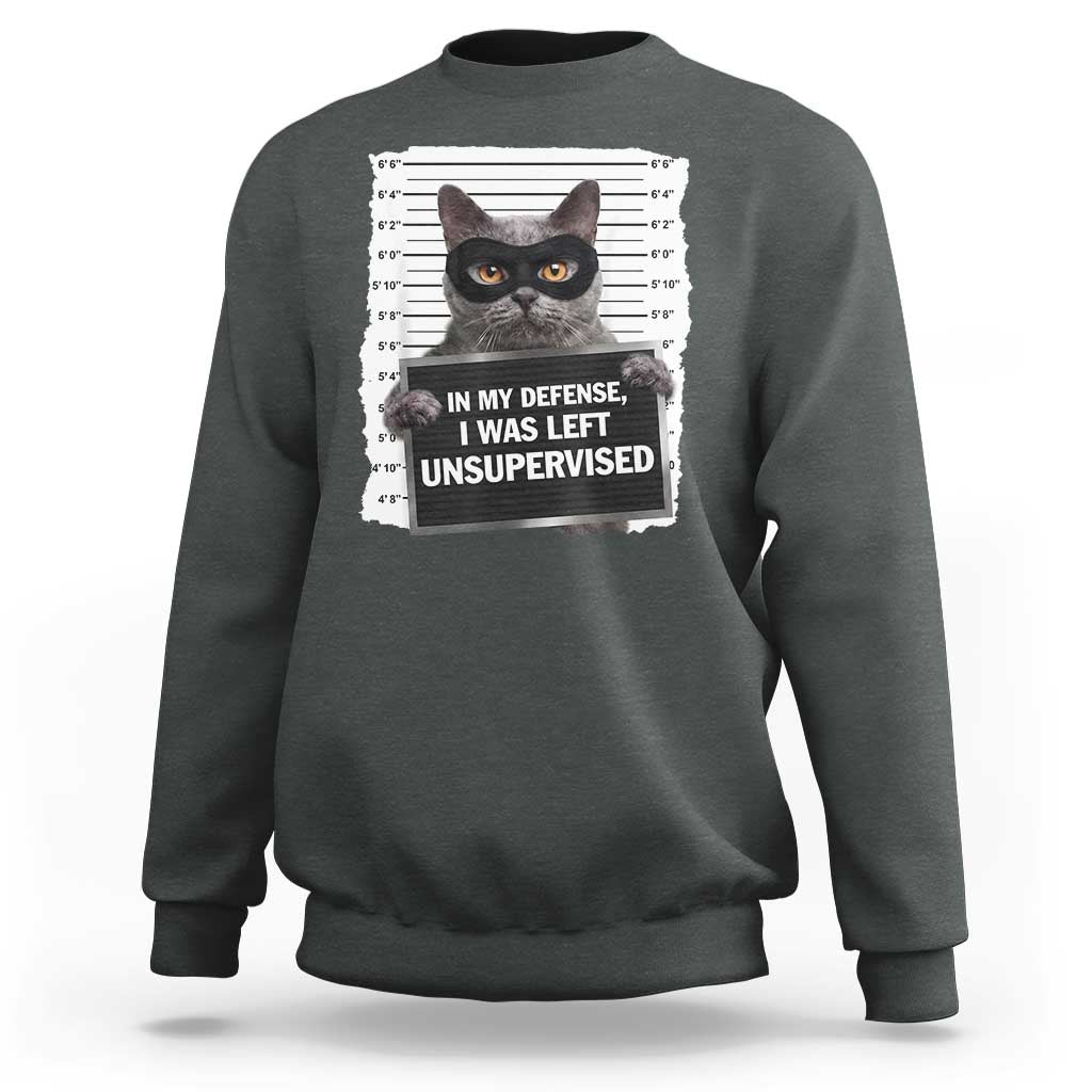 Funny Cat Mugshot Sweatshirt In My Defense I Was Left Unsupervised
