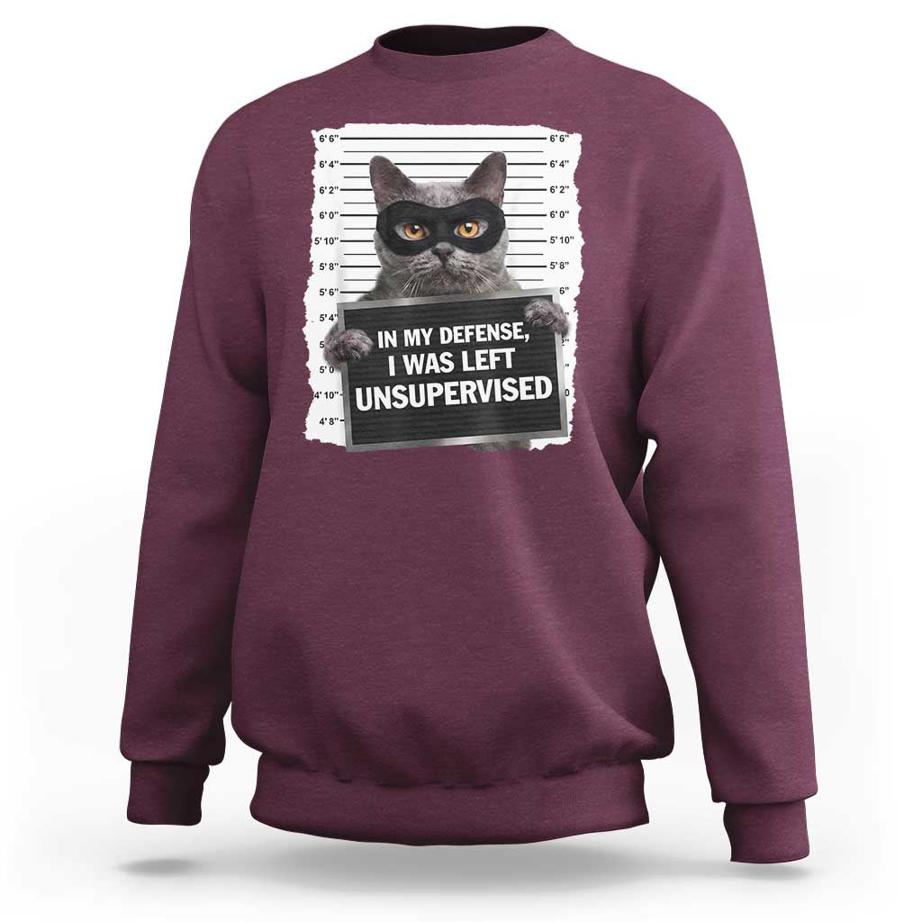 Funny Cat Mugshot Sweatshirt In My Defense I Was Left Unsupervised