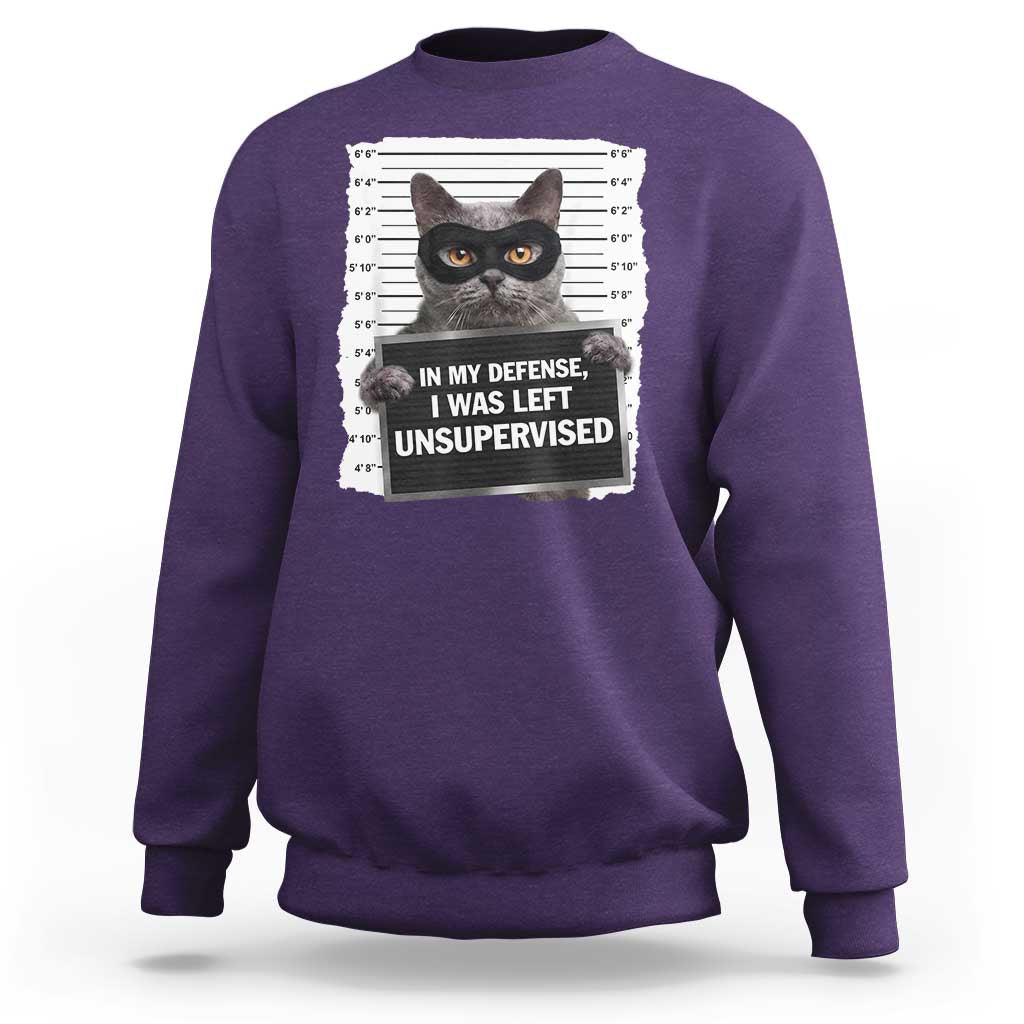 Funny Cat Mugshot Sweatshirt In My Defense I Was Left Unsupervised