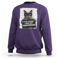 Funny Cat Mugshot Sweatshirt In My Defense I Was Left Unsupervised
