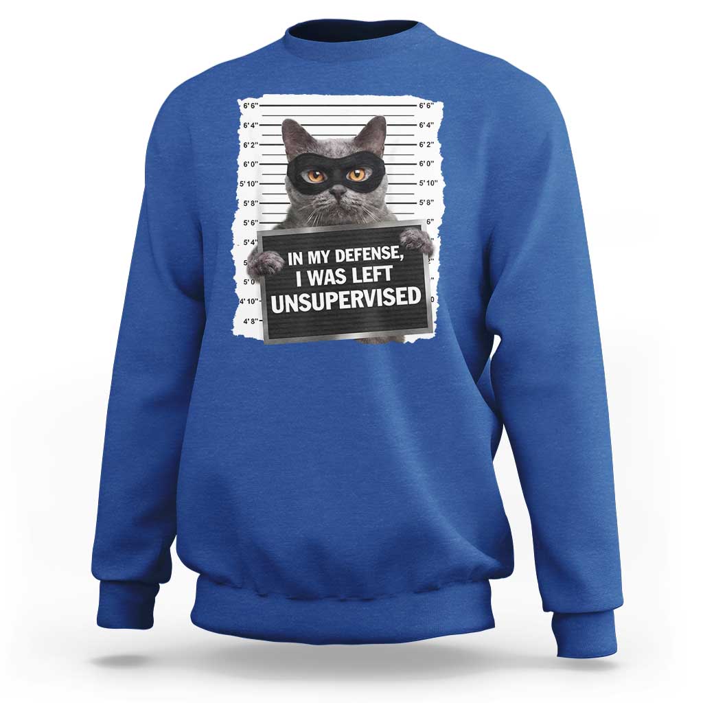Funny Cat Mugshot Sweatshirt In My Defense I Was Left Unsupervised