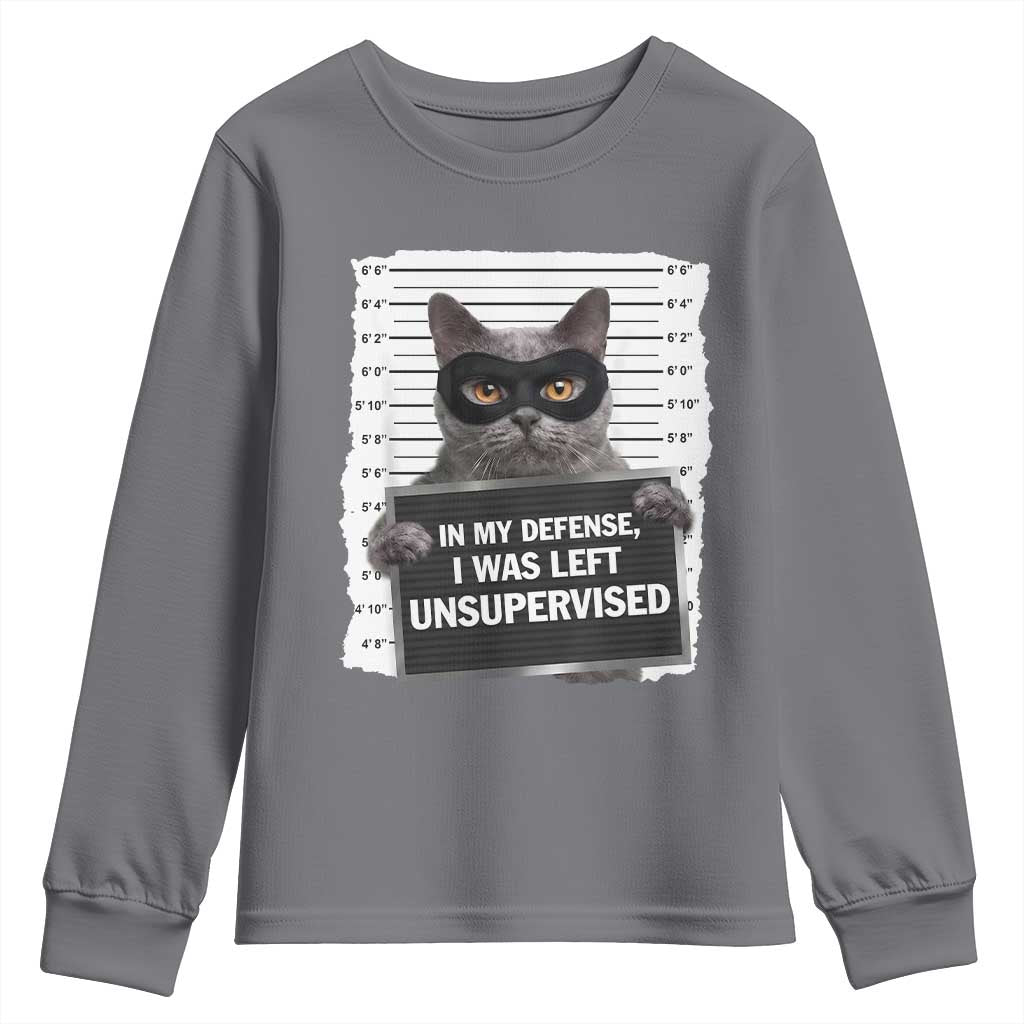 Funny Cat Mugshot Youth Sweatshirt In My Defense I Was Left Unsupervised