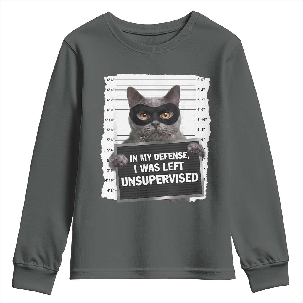 Funny Cat Mugshot Youth Sweatshirt In My Defense I Was Left Unsupervised