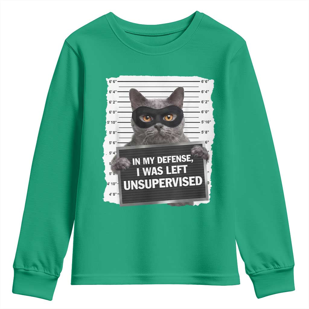 Funny Cat Mugshot Youth Sweatshirt In My Defense I Was Left Unsupervised