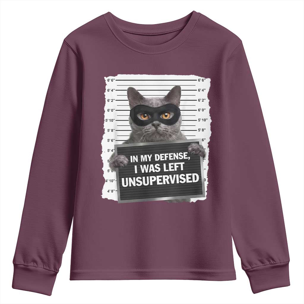 Funny Cat Mugshot Youth Sweatshirt In My Defense I Was Left Unsupervised