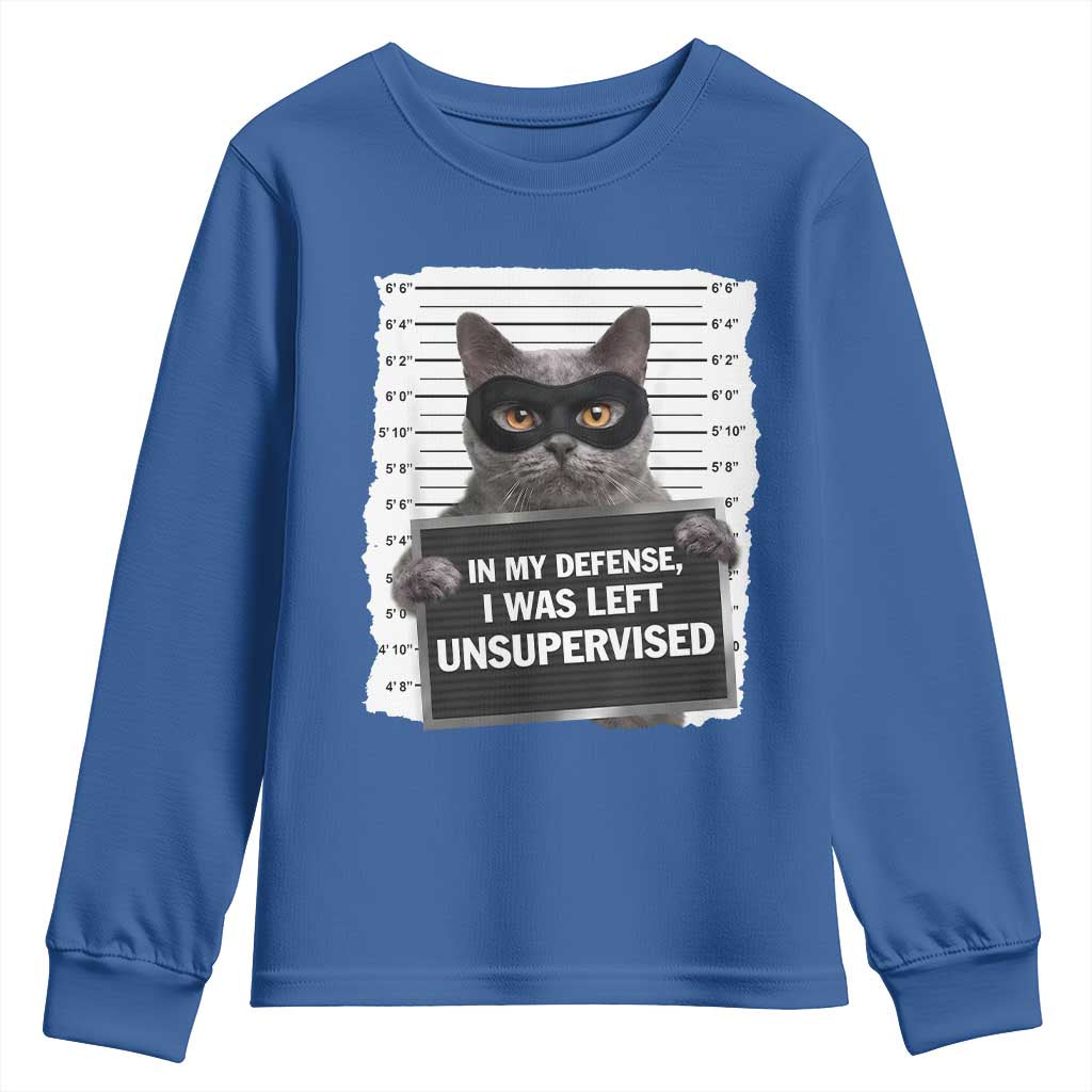 Funny Cat Mugshot Youth Sweatshirt In My Defense I Was Left Unsupervised