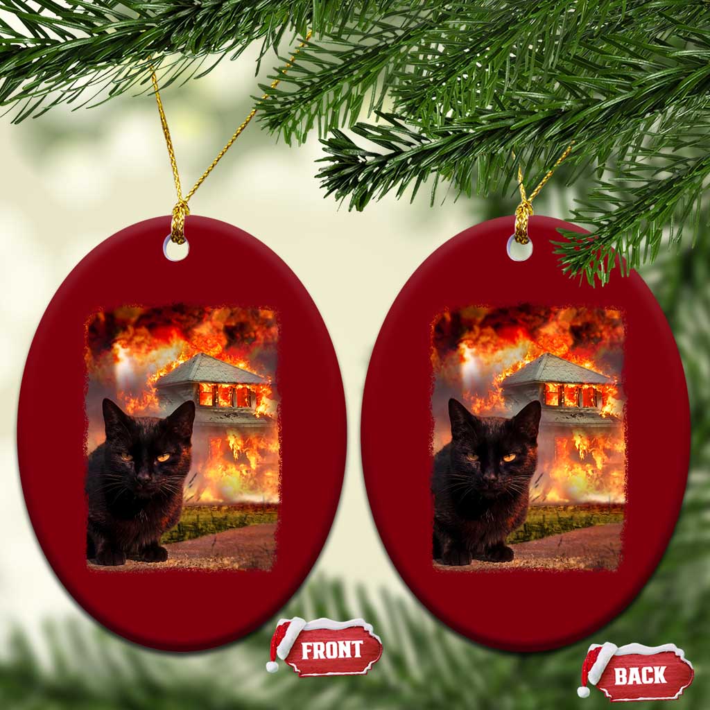 Funny Crazy Cat Selfie Ceramic Ornament Bad Kitty Chaos Humor Graphic