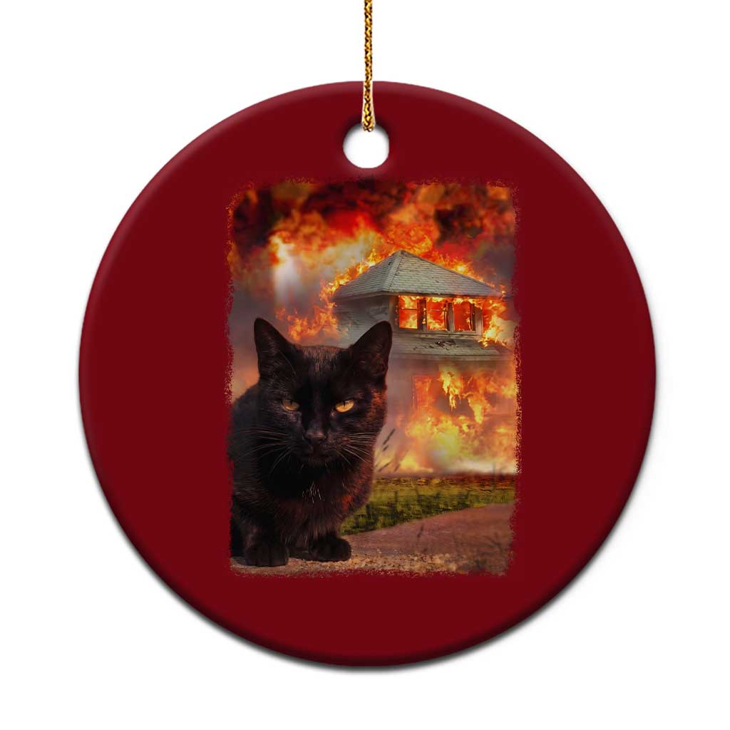 Funny Crazy Cat Selfie Ceramic Ornament Bad Kitty Chaos Humor Graphic