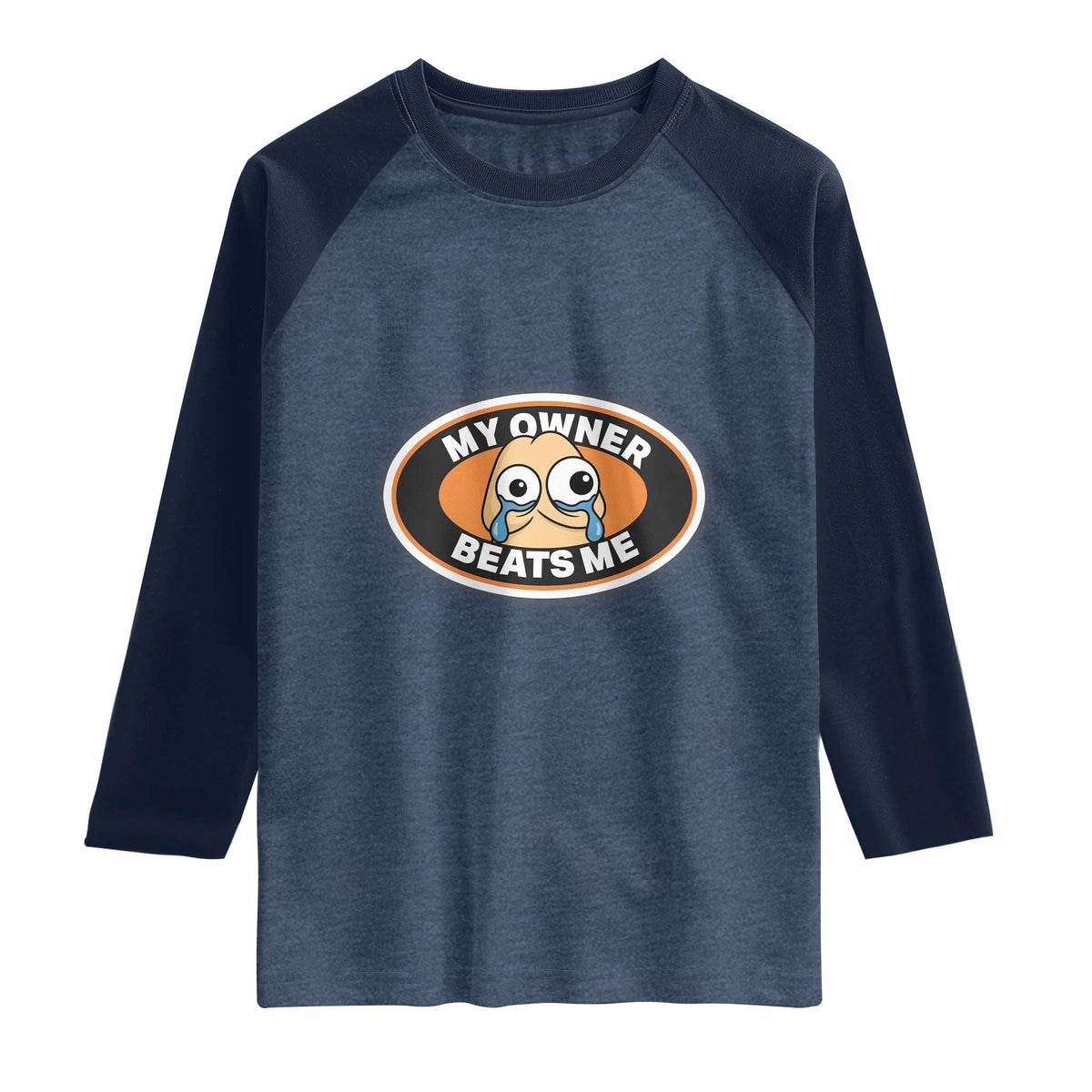 Humorous Dark Humor Raglan Shirt My Owner Beats Me