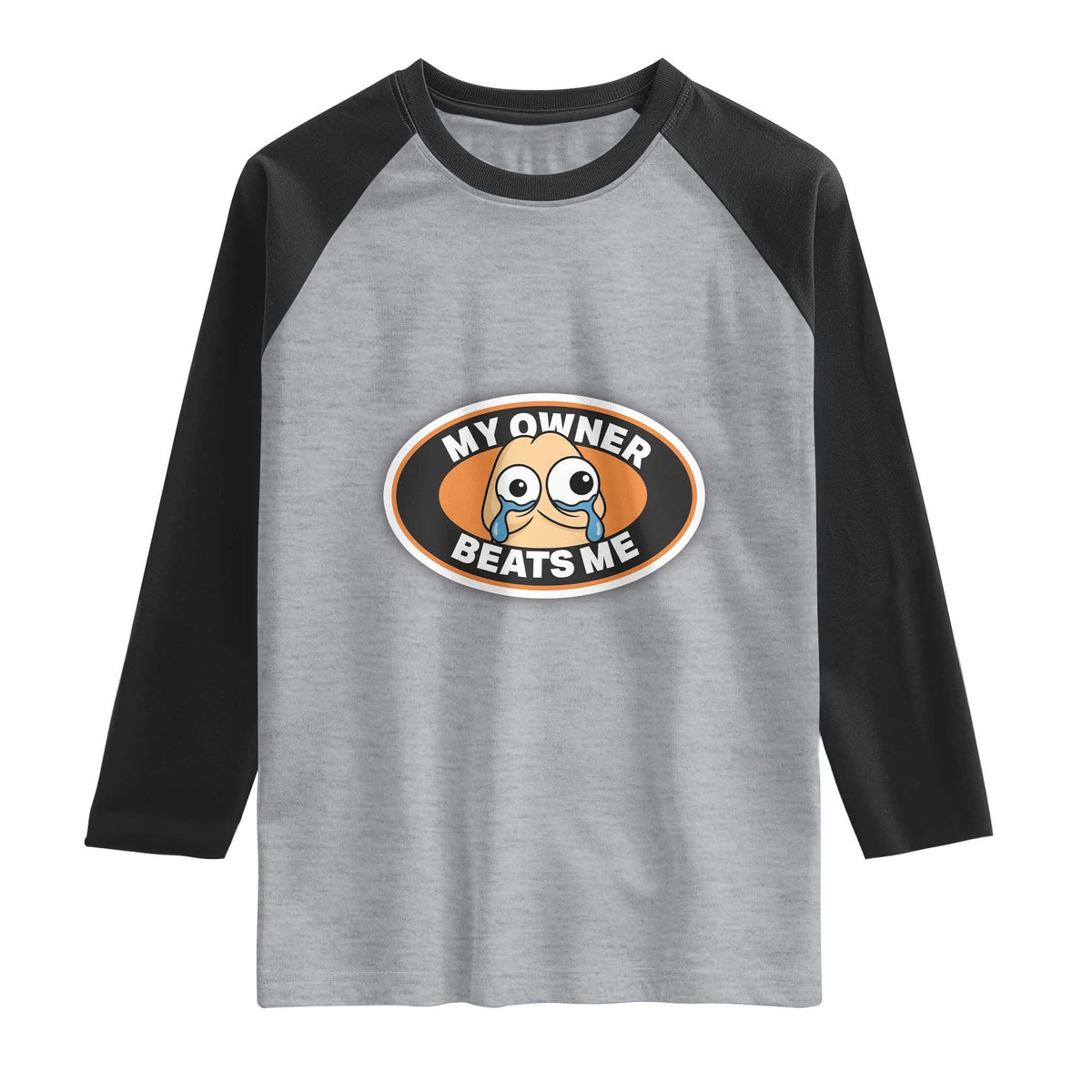 Humorous Dark Humor Raglan Shirt My Owner Beats Me