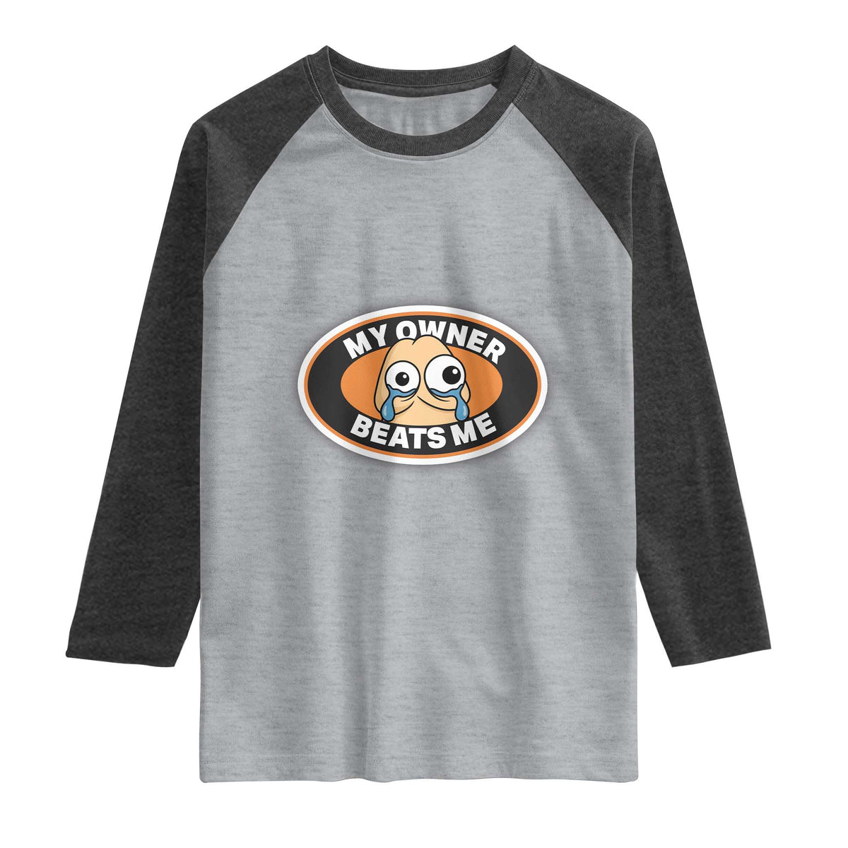 Humorous Dark Humor Raglan Shirt My Owner Beats Me
