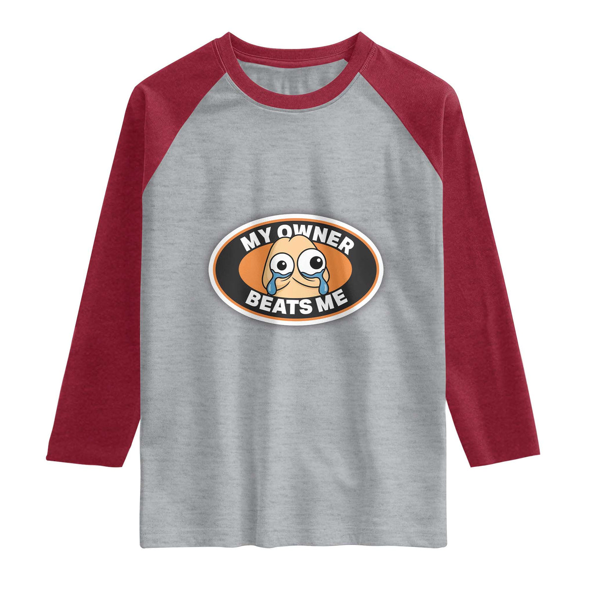 Humorous Dark Humor Raglan Shirt My Owner Beats Me