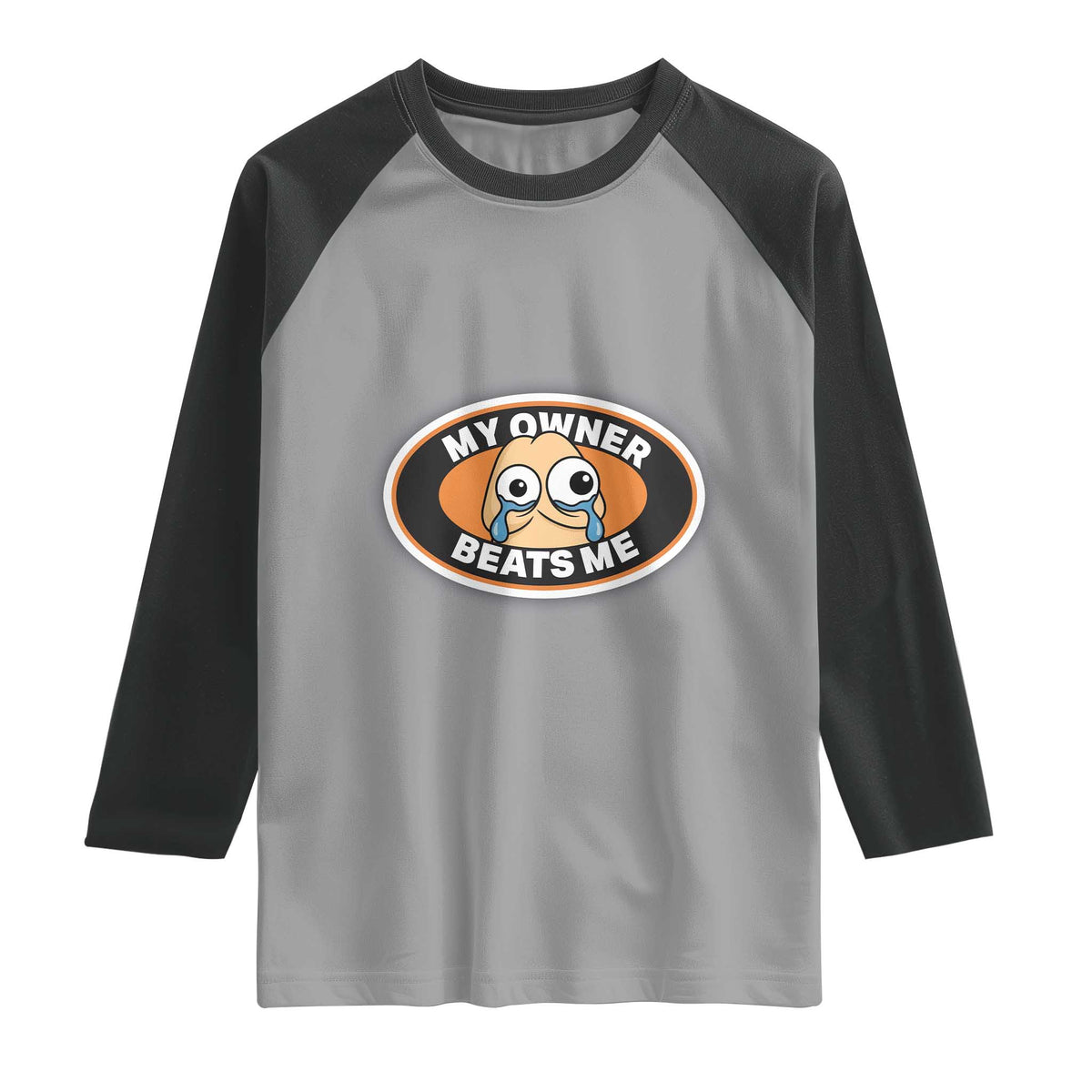 Humorous Dark Humor Raglan Shirt My Owner Beats Me