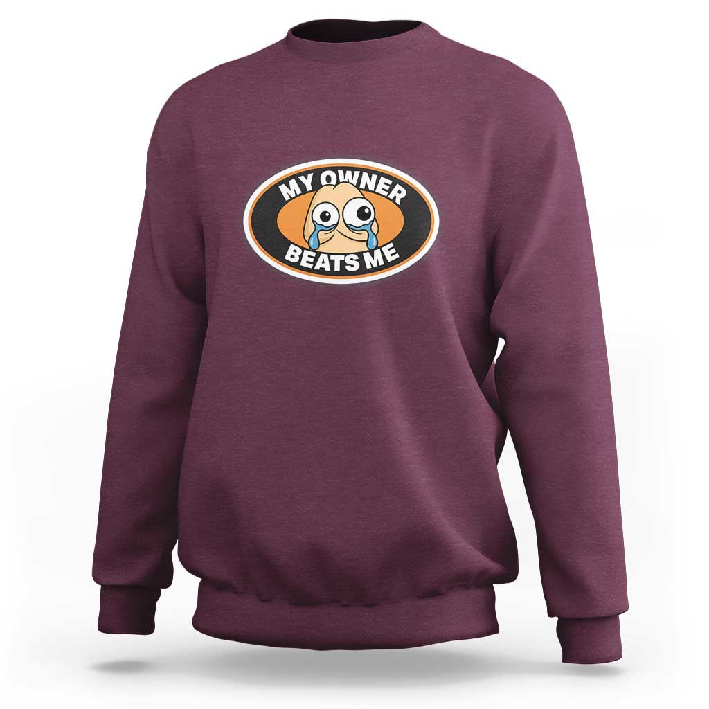 Humorous Dark Humor Sweatshirt My Owner Beats Me