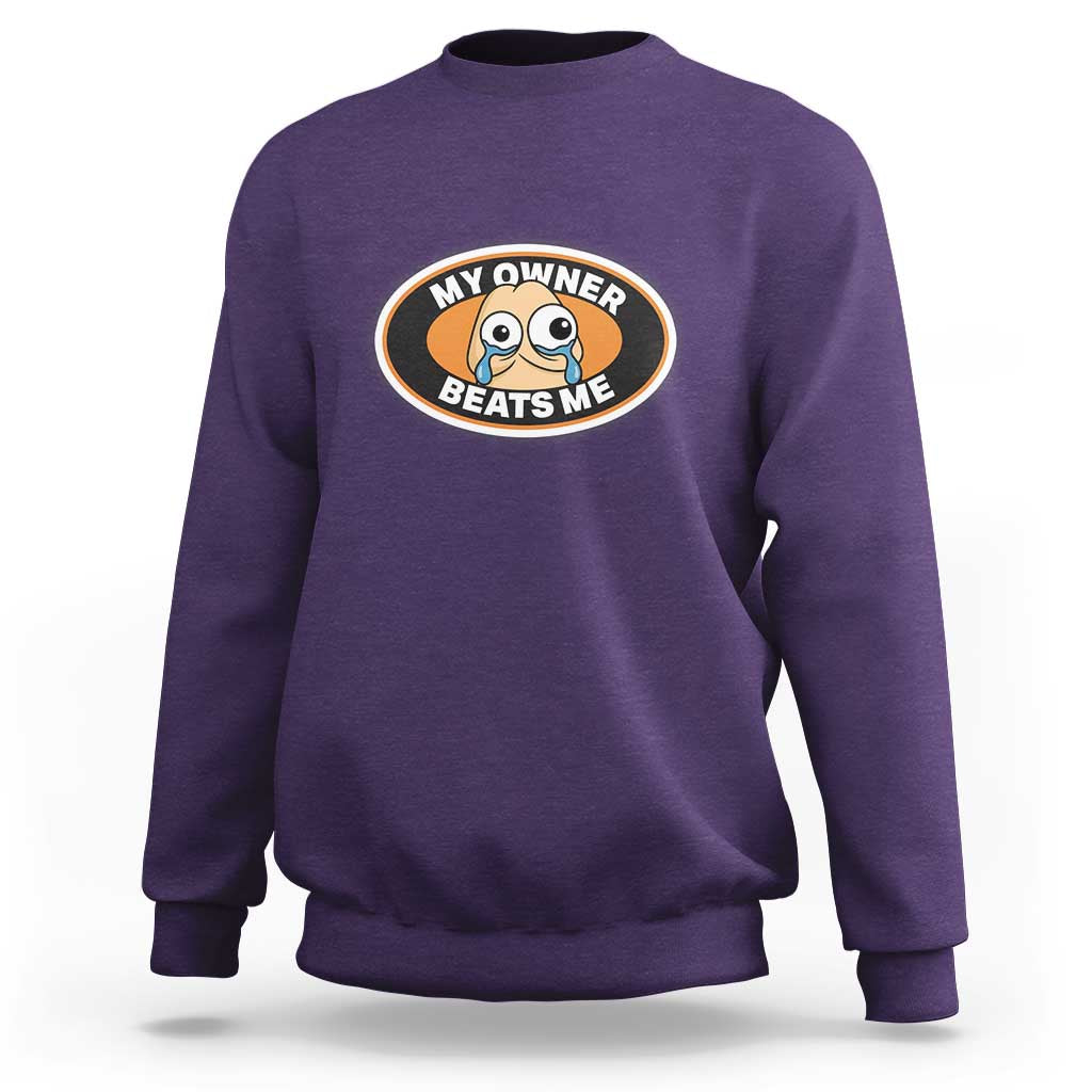 Humorous Dark Humor Sweatshirt My Owner Beats Me
