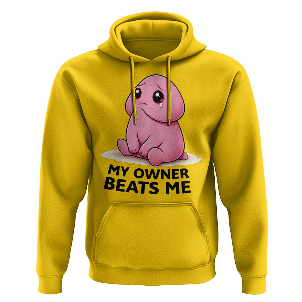 Funny Raunchy Meme My Owner Beats Me Hoodie Sarcastic Adult Gag Gift