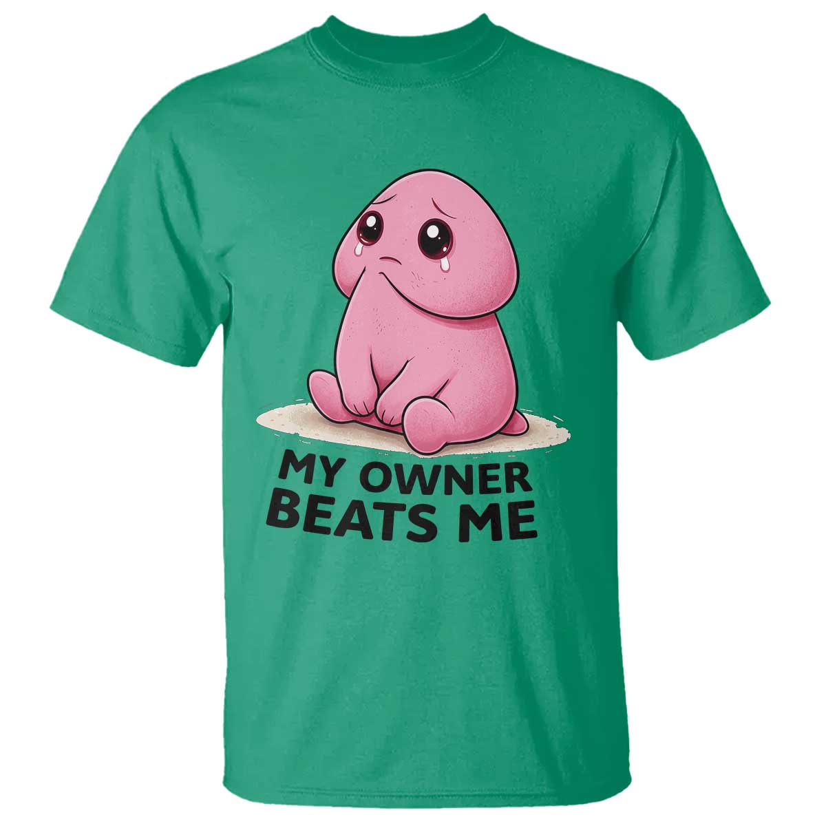 Funny Raunchy Meme My Owner Beats Me T Shirt Sarcastic Adult Gag Gift