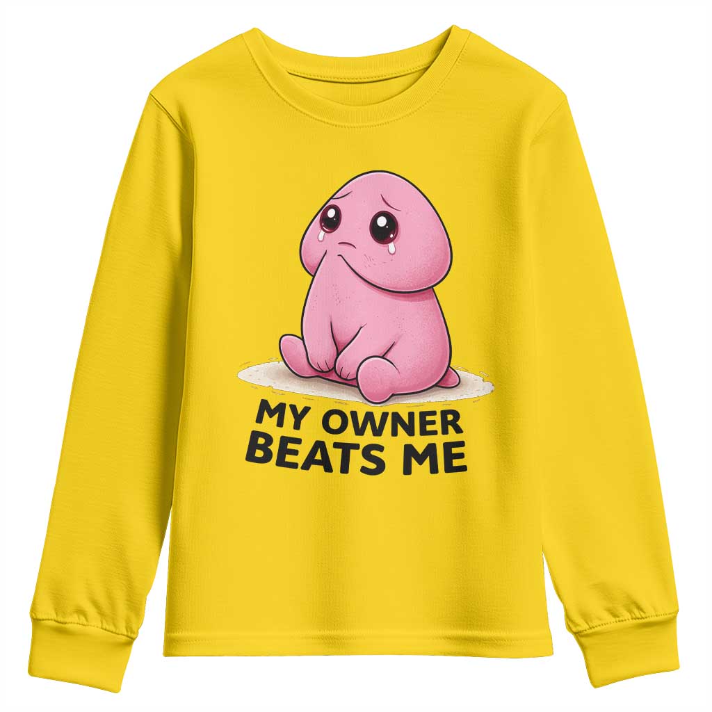 Funny Raunchy Meme My Owner Beats Me Youth Sweatshirt Sarcastic Adult Gag Gift