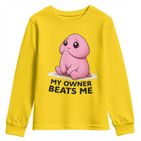 Funny Raunchy Meme My Owner Beats Me Youth Sweatshirt Sarcastic Adult Gag Gift